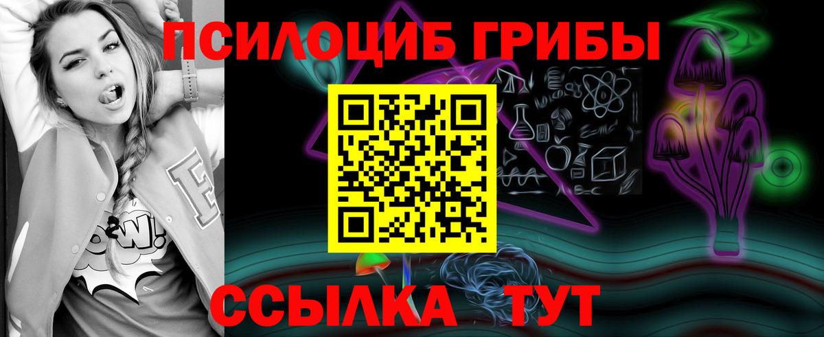 Чайковский  Галлюциногенные грибы прущие грибы  Псилоцибиновые грибы прущие грибы  Вход с VPN 